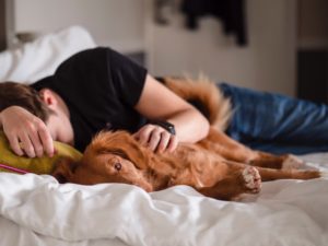 vertrauensvolle bindung hund